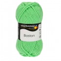 Schachenmayr Boston 00176 pastelowy zielony