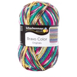 Schachenmayr Bravo Color 02084