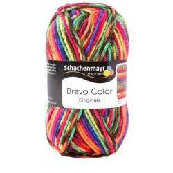 Schachenmayr Bravo Color 02085