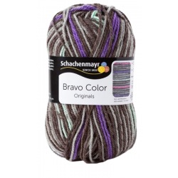 Schachenmayr Bravo Color 02107