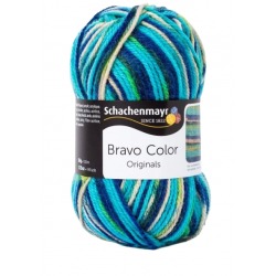 Schachenmayr Bravo Color 02119