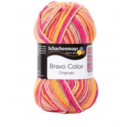Schachenmayr Bravo Color 02115