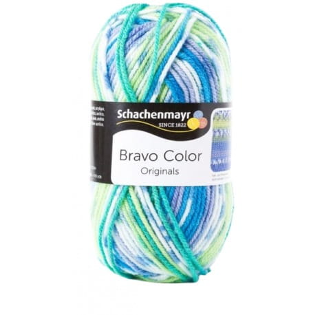 Schachenmayr Bravo Color 02080