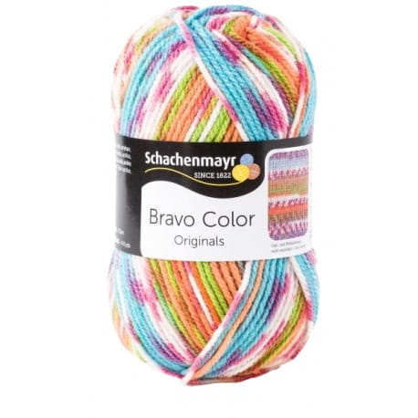 Schachenmayr Bravo Color 02081