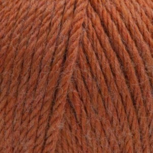 Gazzal Viking 4020 rudy