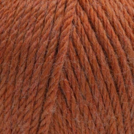 Gazzal Viking 4020 rudy